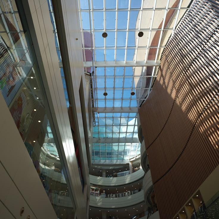 Dining out as an expat family in United States